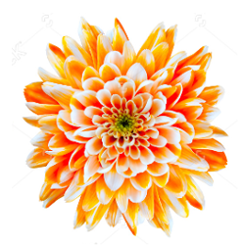 Holistic Colon Hydrotherapy